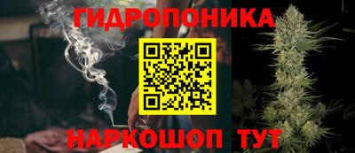 PSILOCYBIN Камышлов
