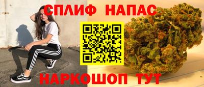 PSILOCYBIN Камышлов