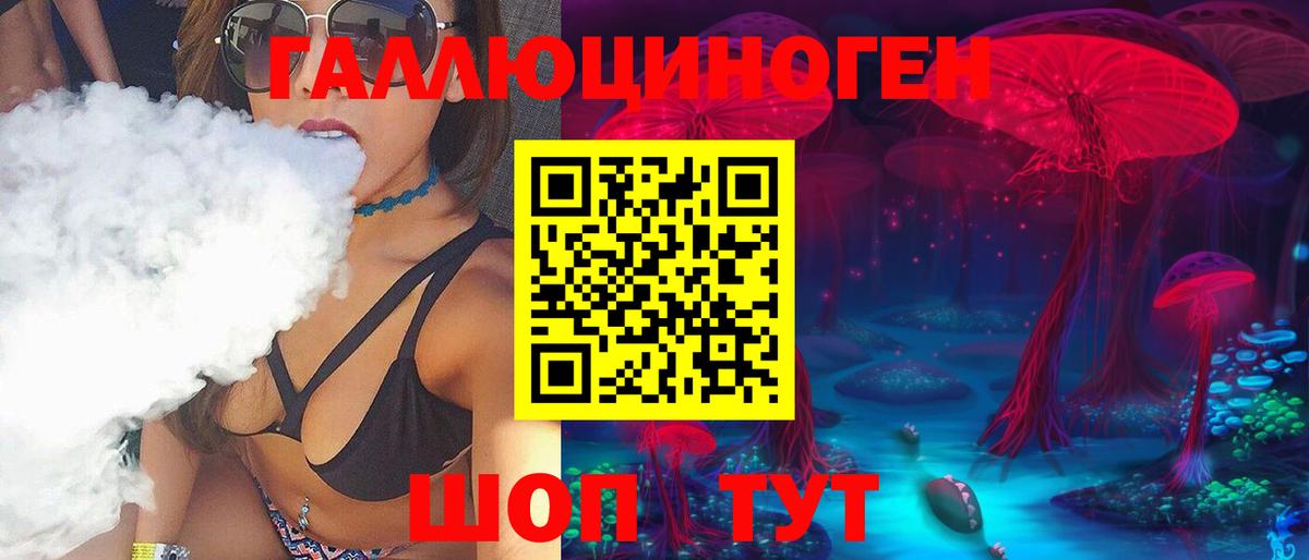 Зеленогорск  Псилоцибиновые грибы ЛСД  Вход с VPN  Псилоцибиновые грибы Psilocybine cubensis 