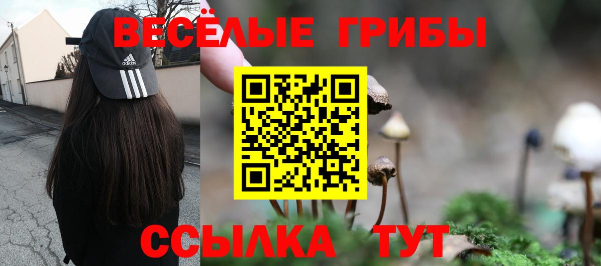 Зеленогорск  MDMA  Кокаин  ГАШ  Мефедрон   ЭКСТАЗИ  Вход с VPN  Канабис 